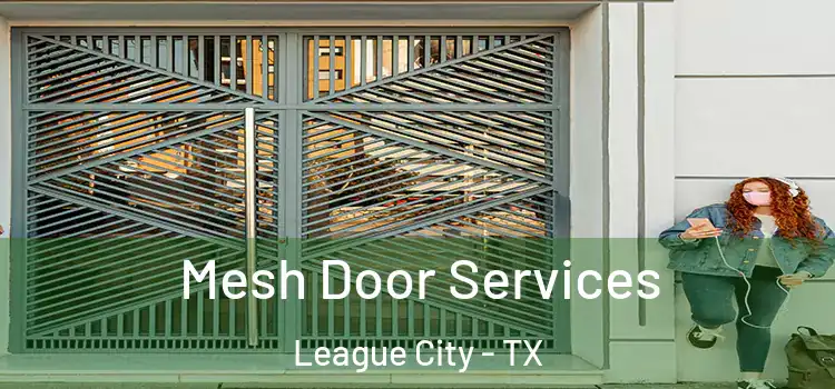  Mesh Door Services League City - TX